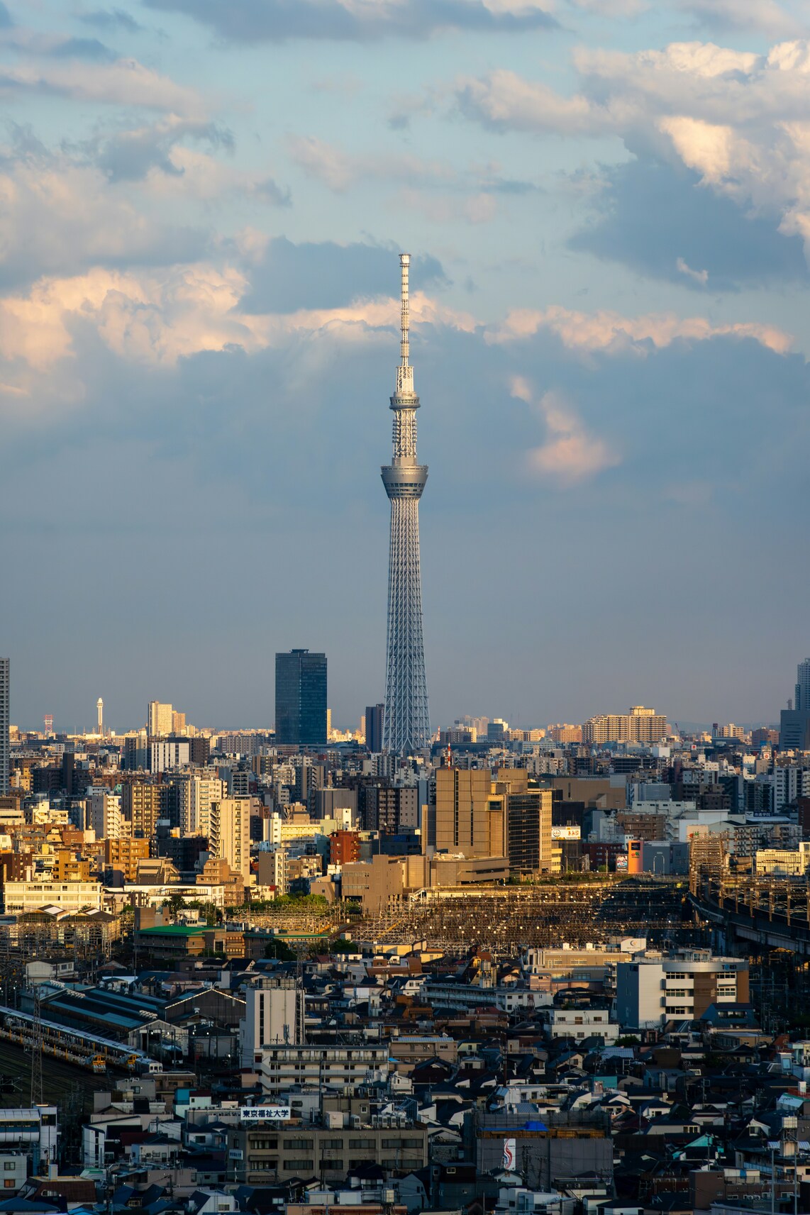 東京スカイツリーと都市の風景